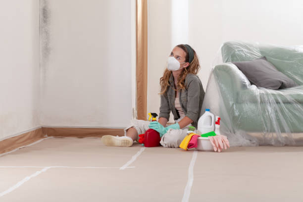 Reliable Mold Remediation contractor in Watchung, NJ by Cheap Mold Removal